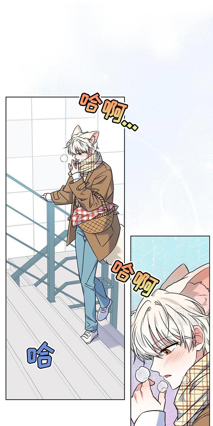 第20章：你能力很强吗？