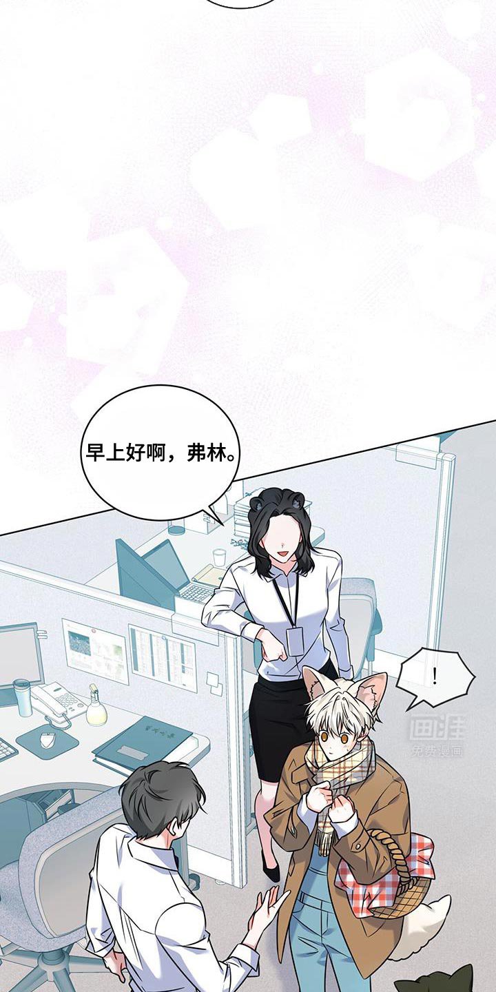 第20章：你能力很强吗？