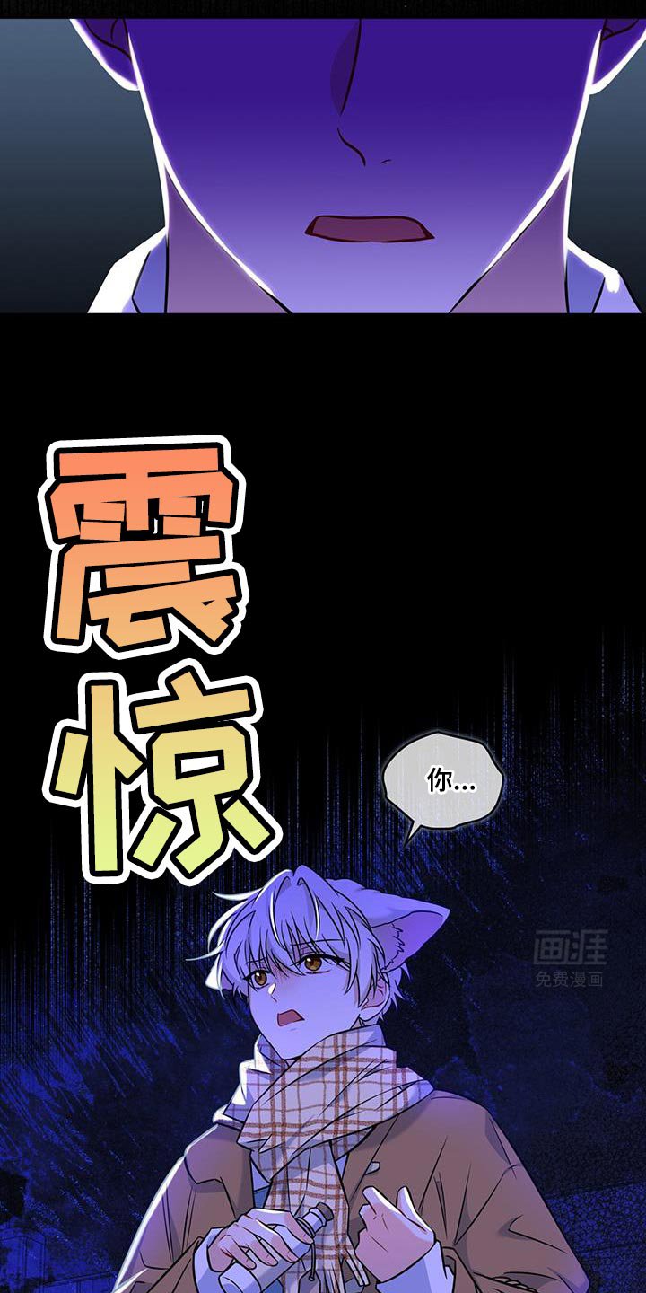 第20章：你能力很强吗？