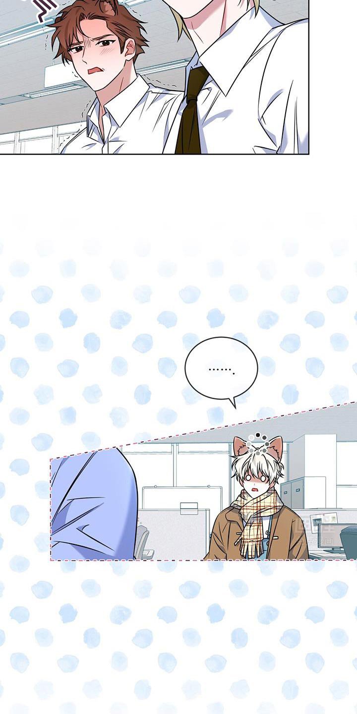第20章：你能力很强吗？