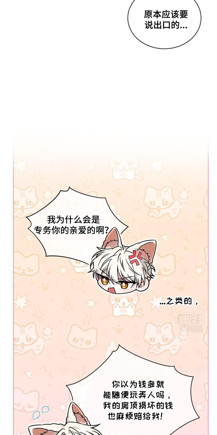 第22章：身份信息