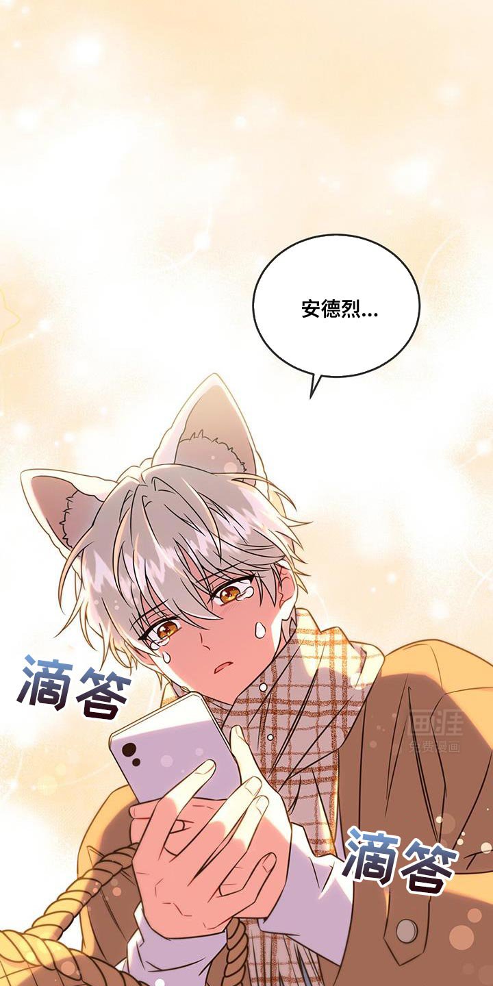 第22章：身份信息