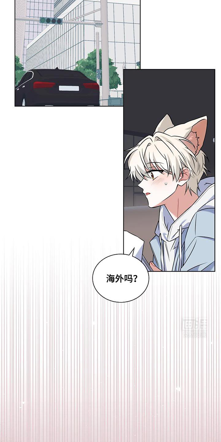 第25章：代价