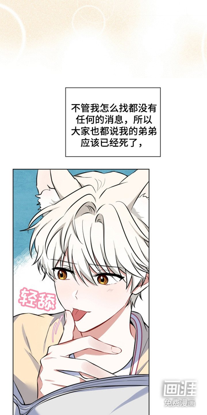 第3章：原材料