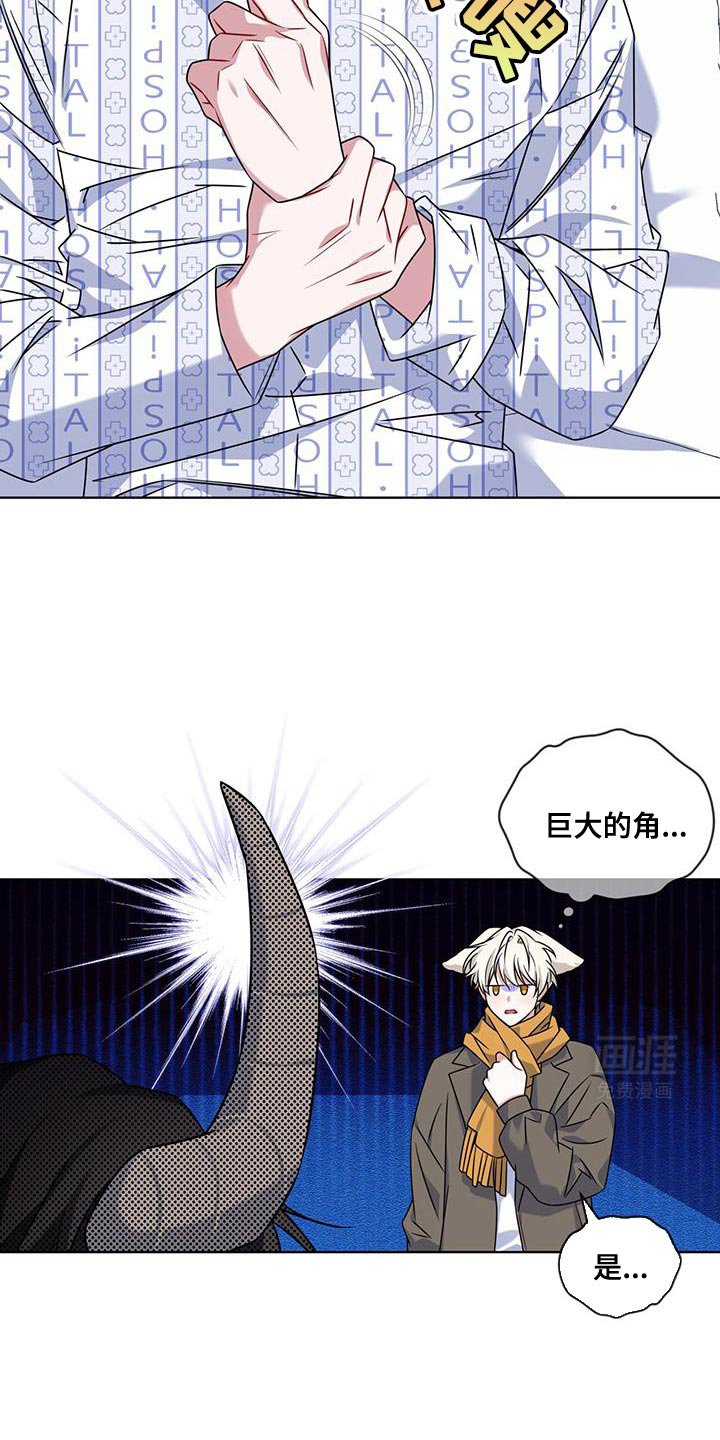 第30章：巨大的角