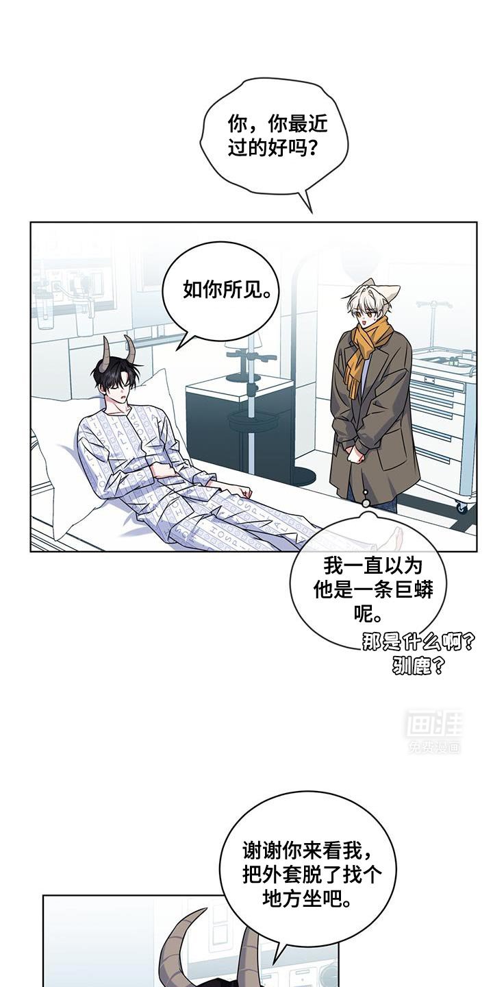 第30章：巨大的角