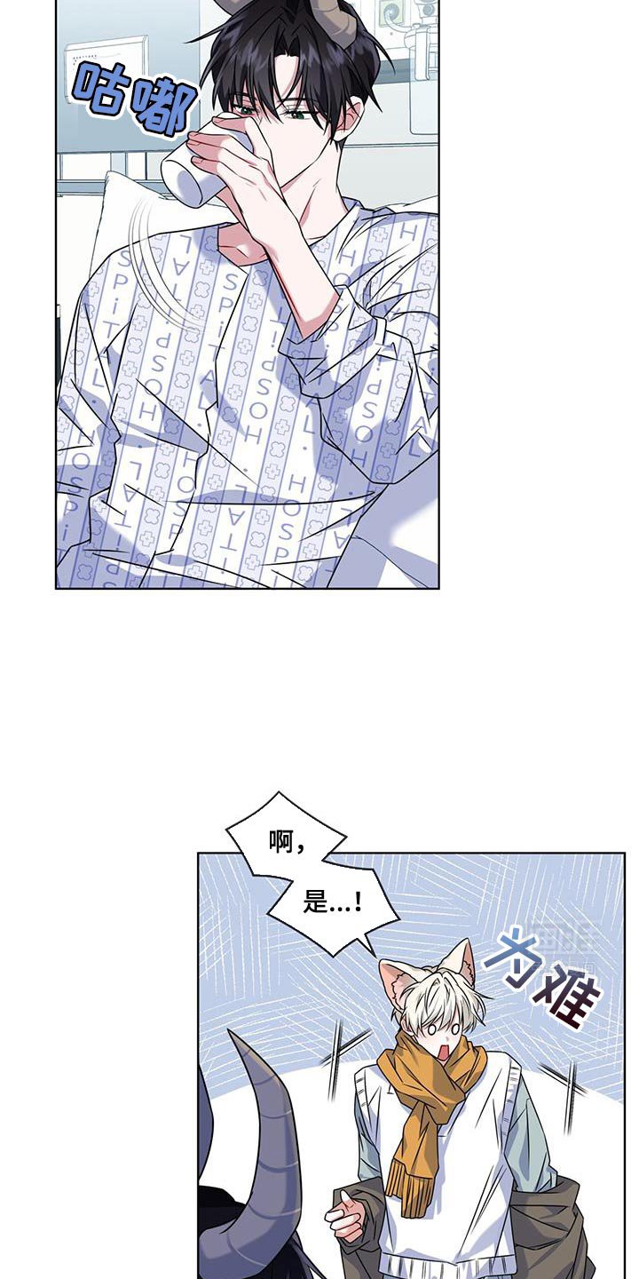 第30章：巨大的角