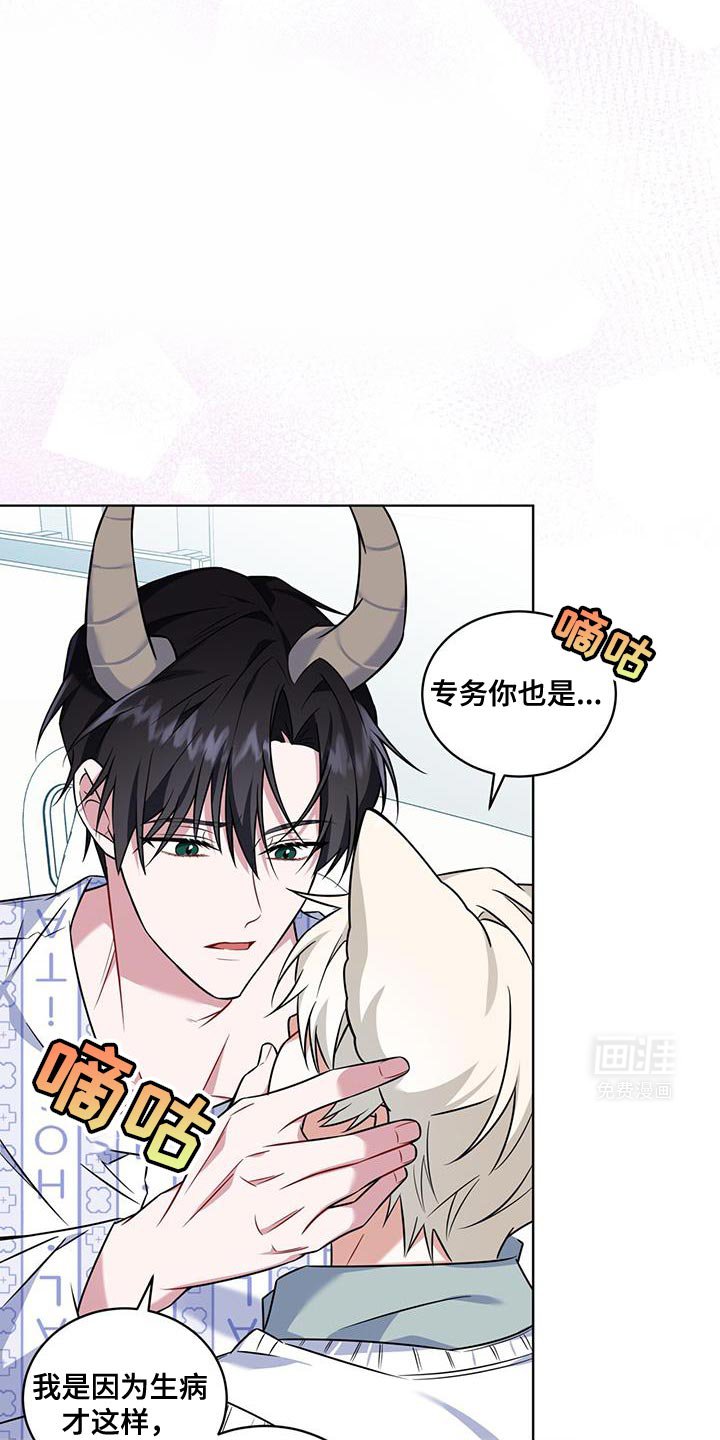 第31章：好消息