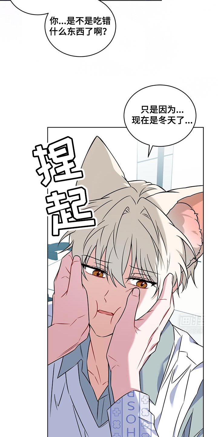 第31章：好消息