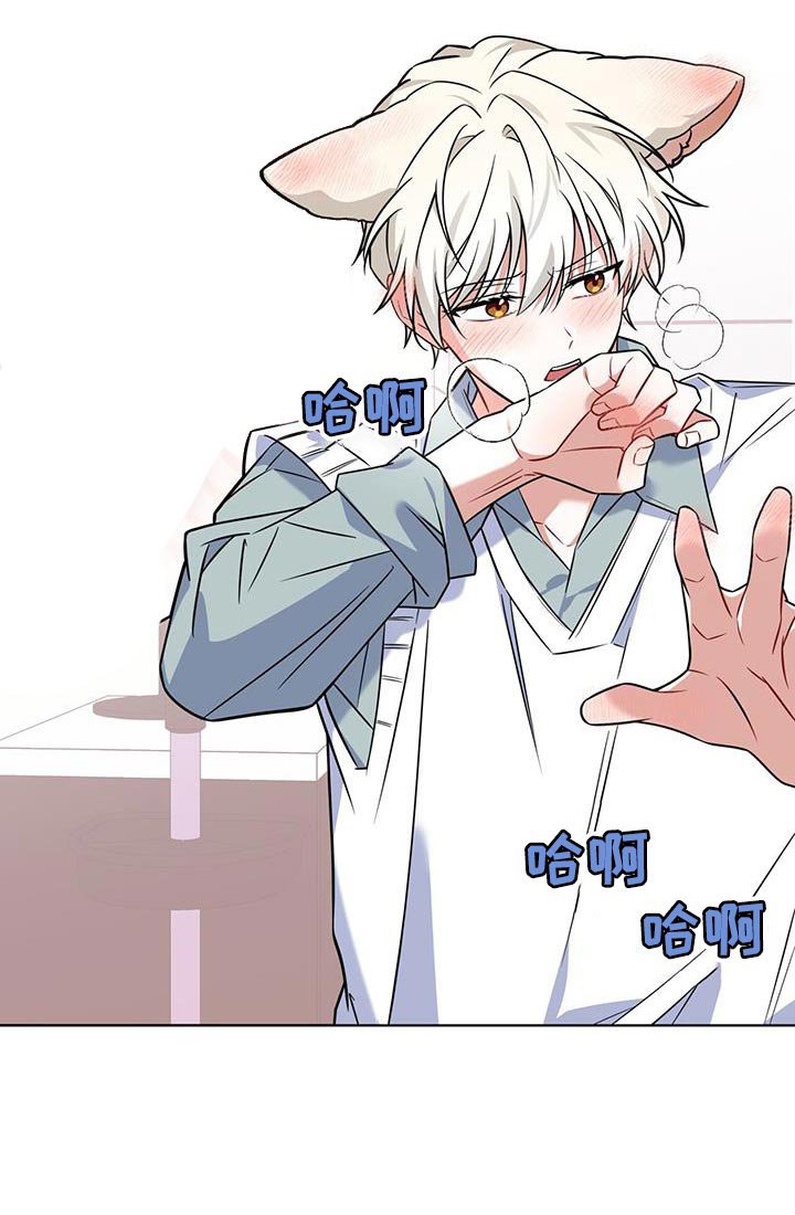 第31章：好消息
