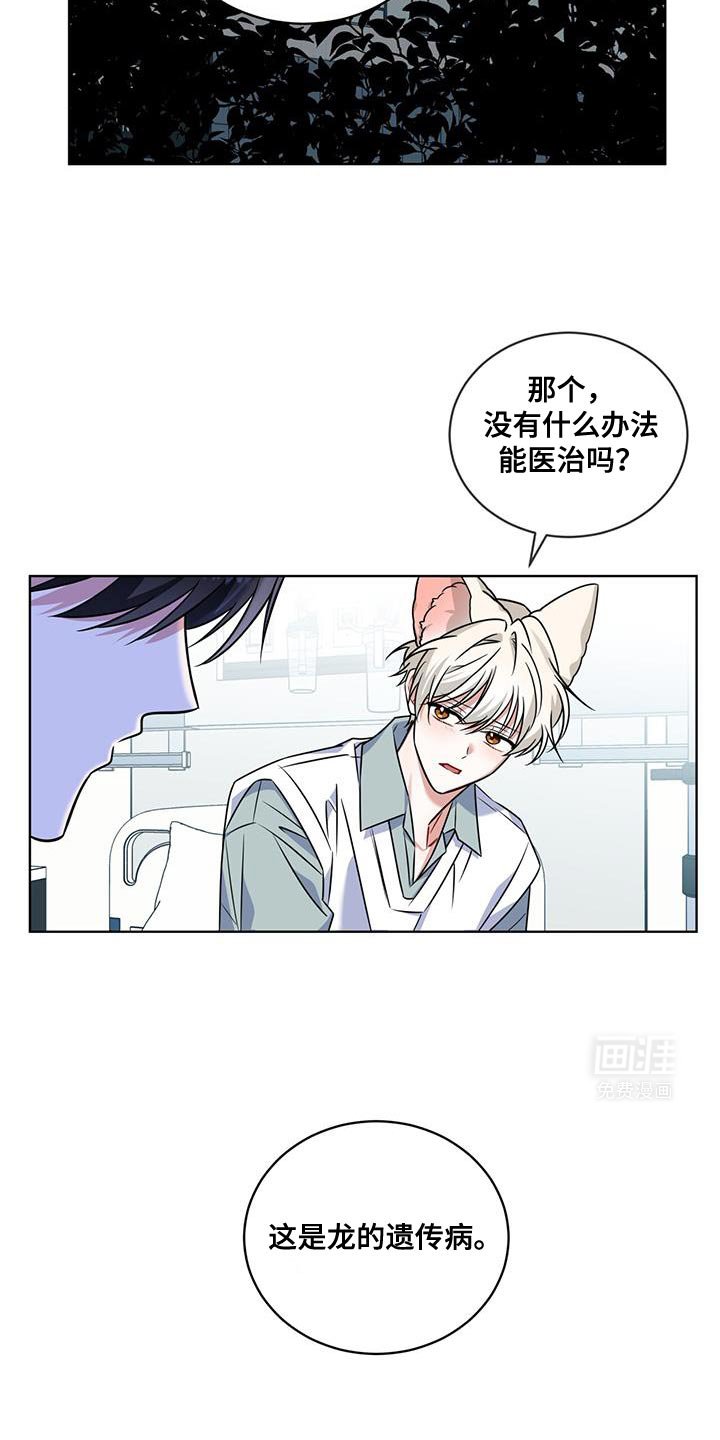 第33章：我有个问题