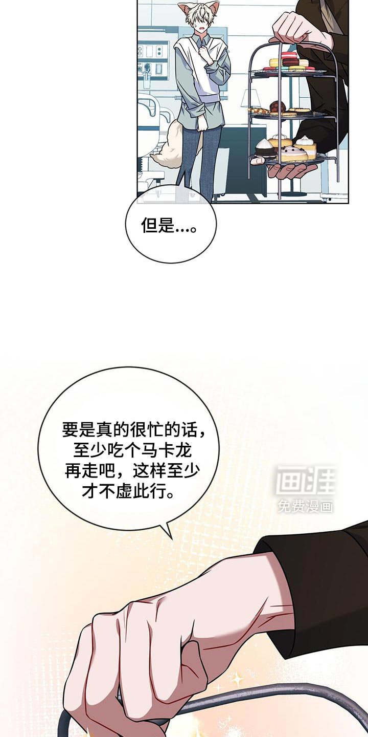 第34章：客人到访