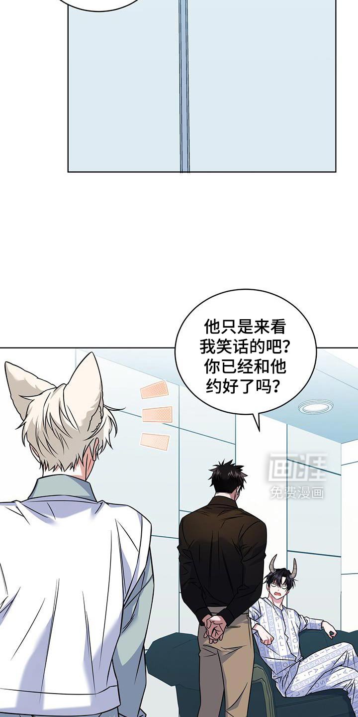 第34章：客人到访