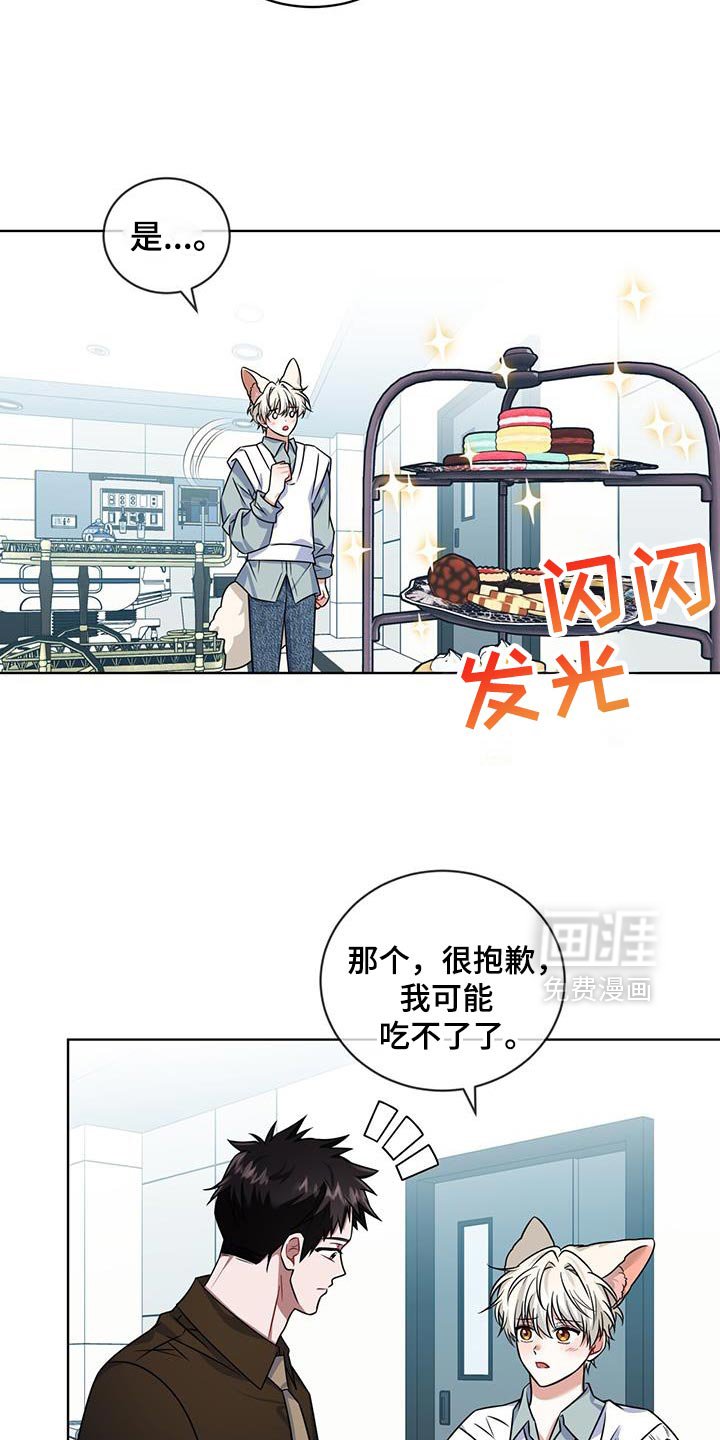 第35章：马卡龙