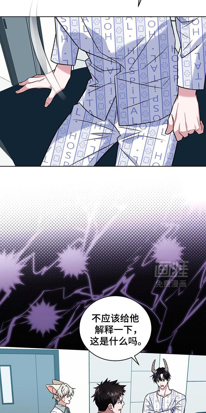 第35章：马卡龙