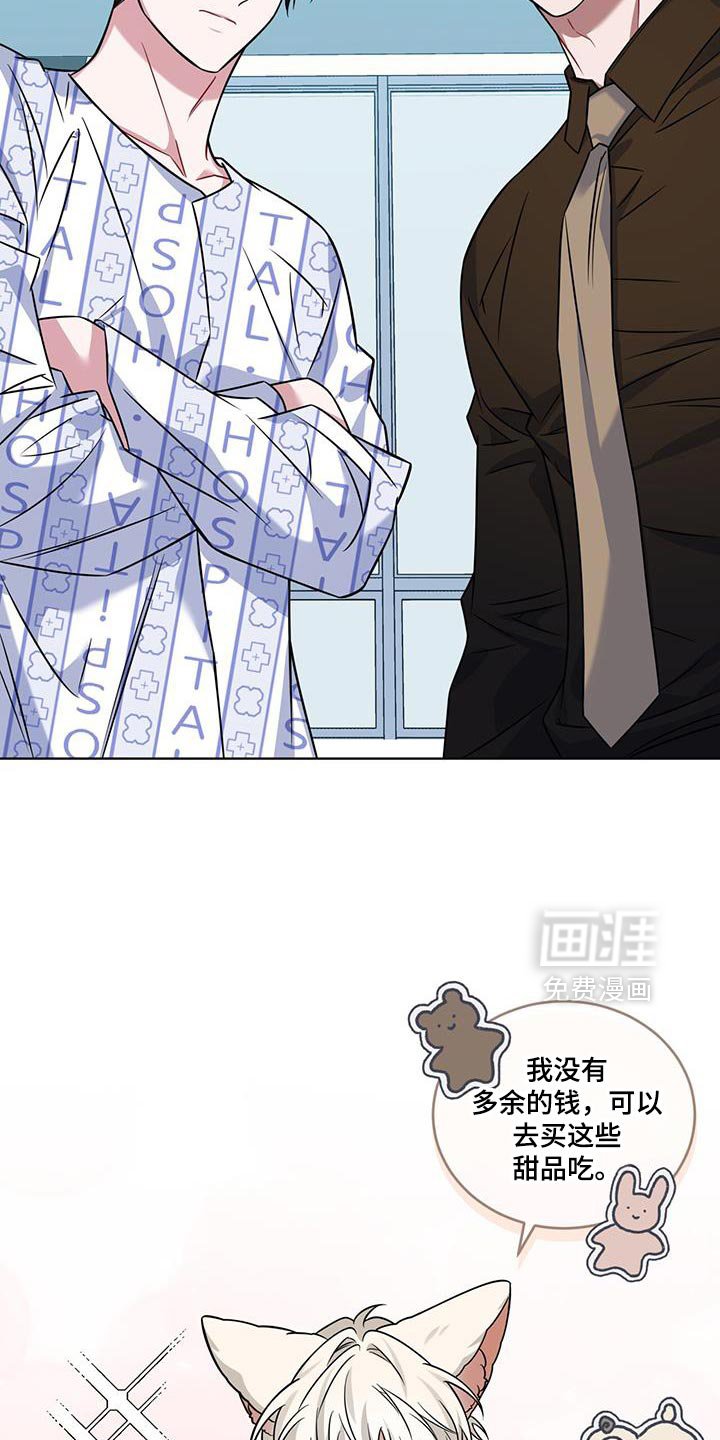 第35章：马卡龙