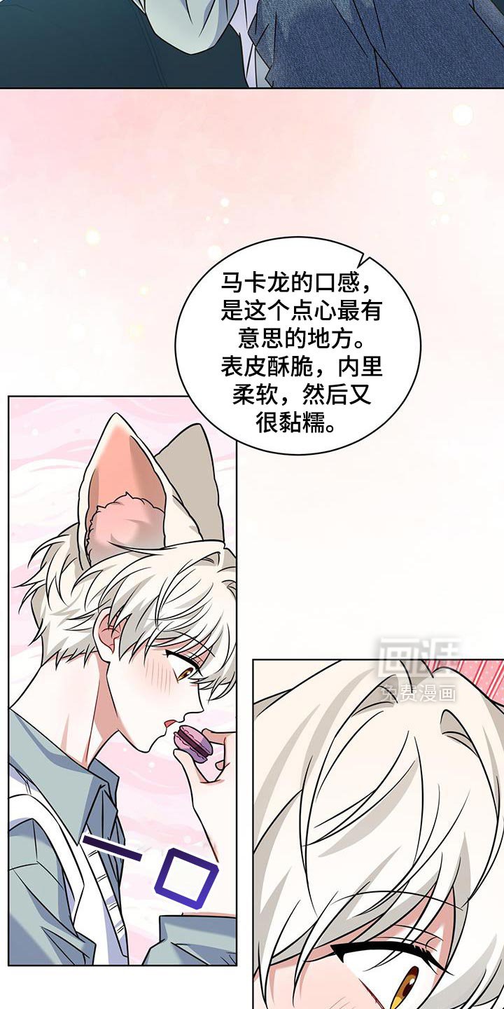 第35章：马卡龙