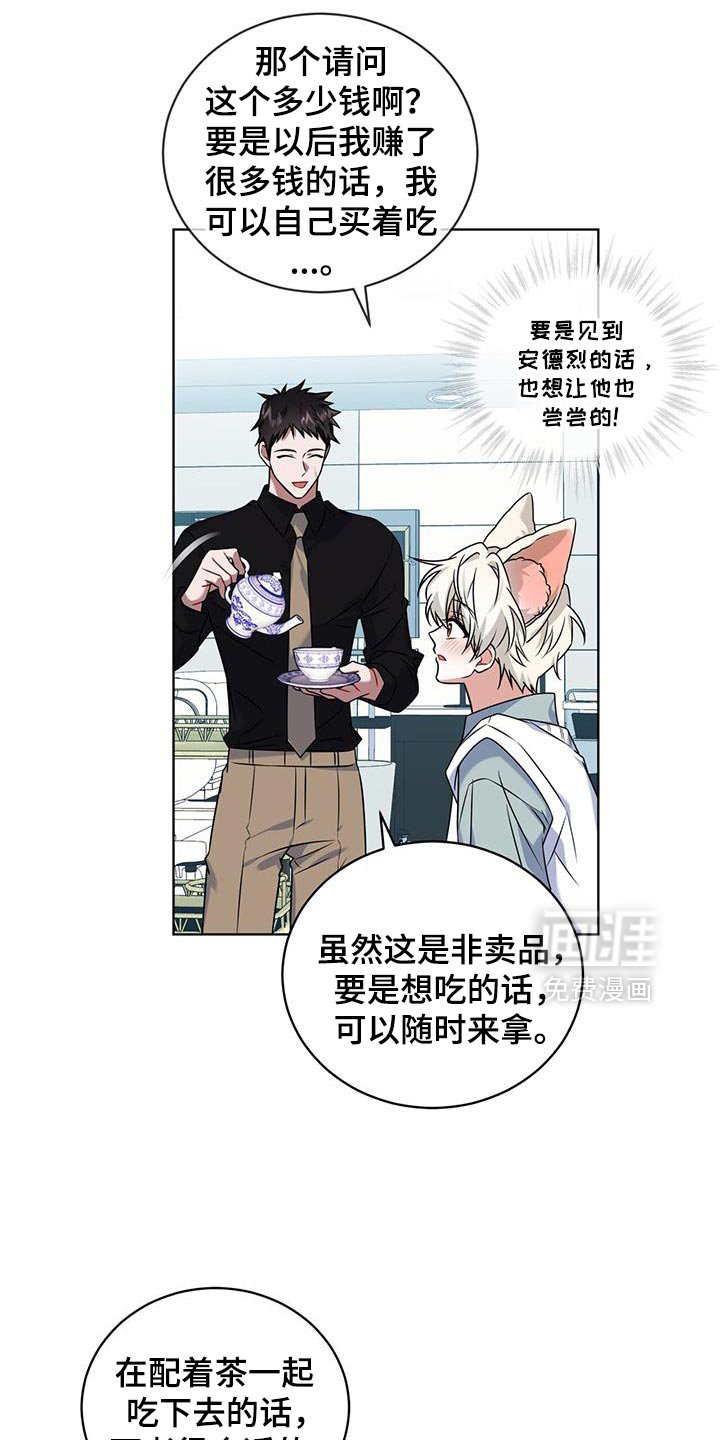 第35章：马卡龙