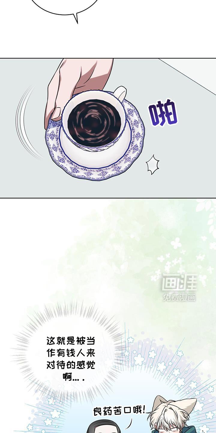 第35章：马卡龙