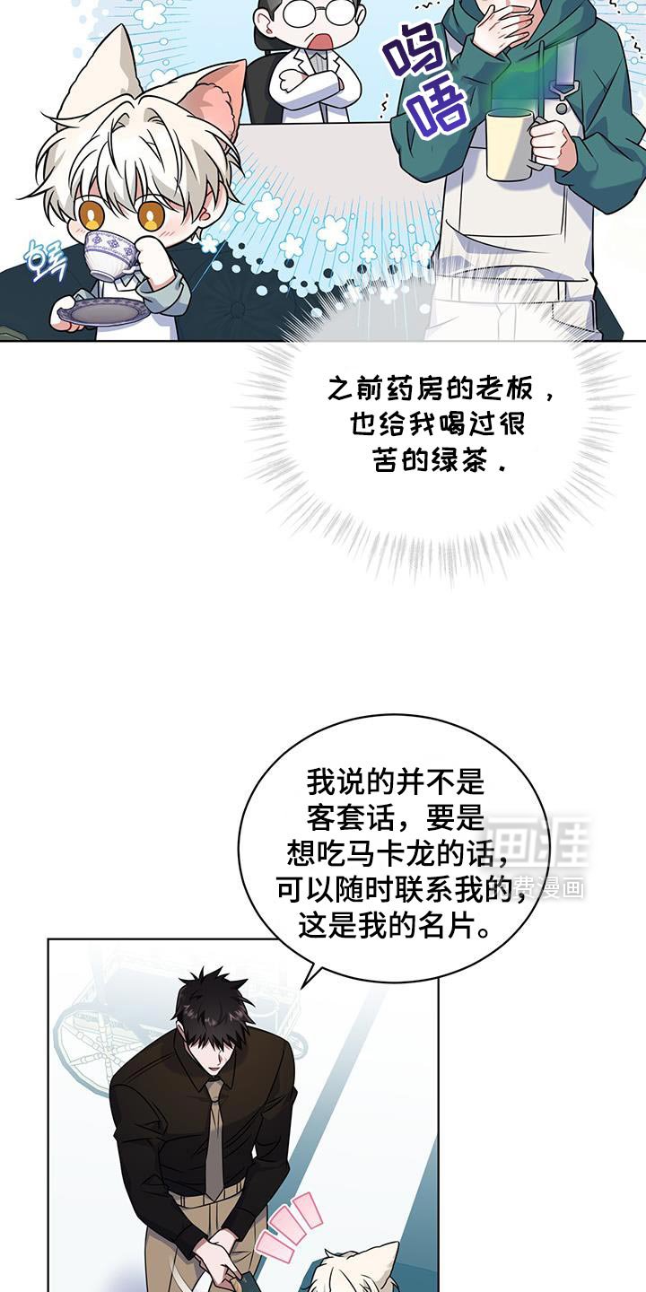 第35章：马卡龙