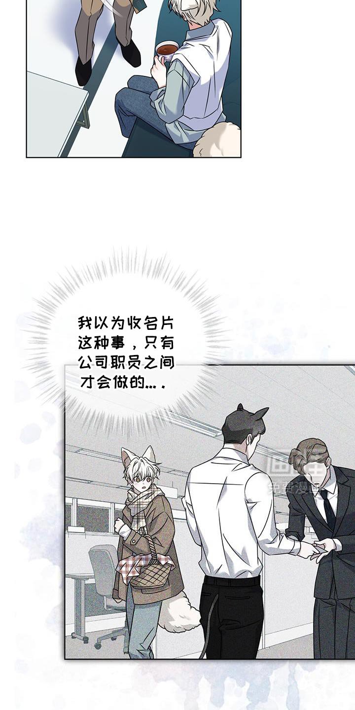 第35章：马卡龙