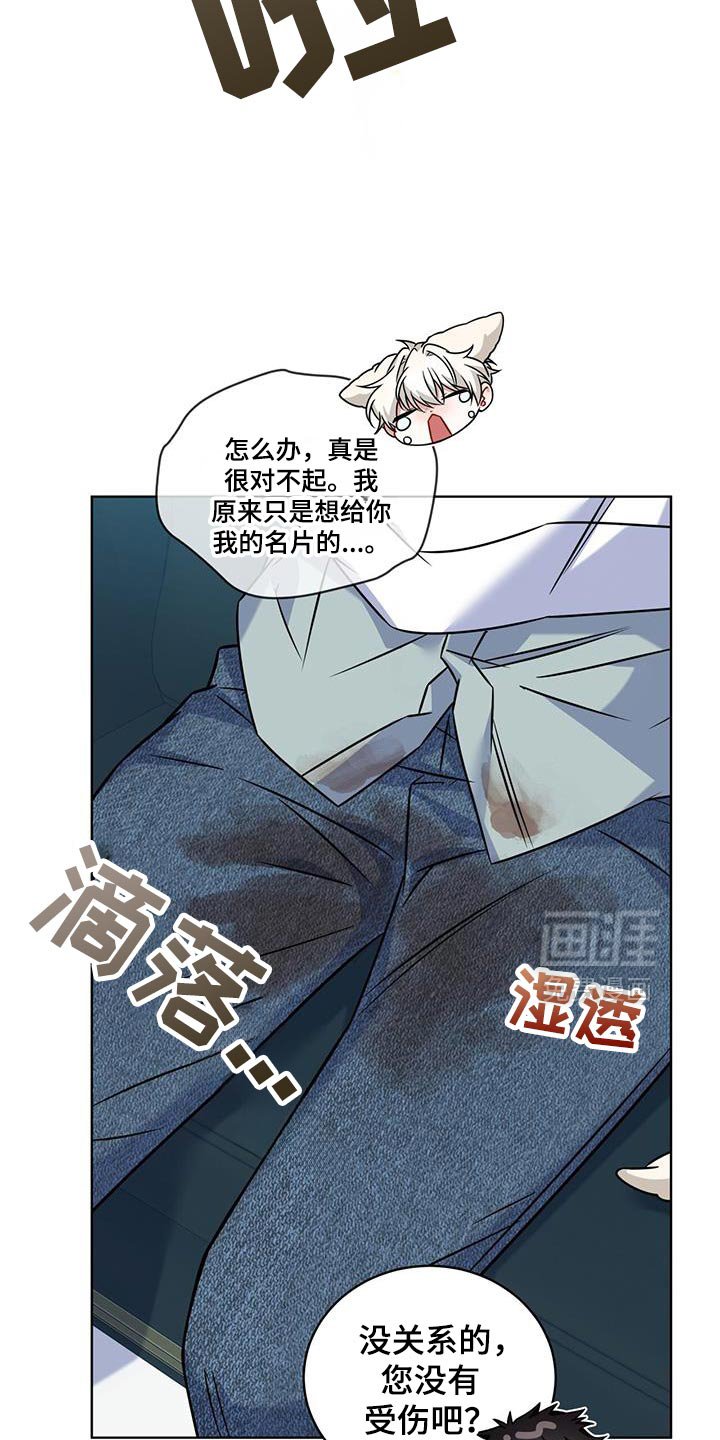 第35章：马卡龙