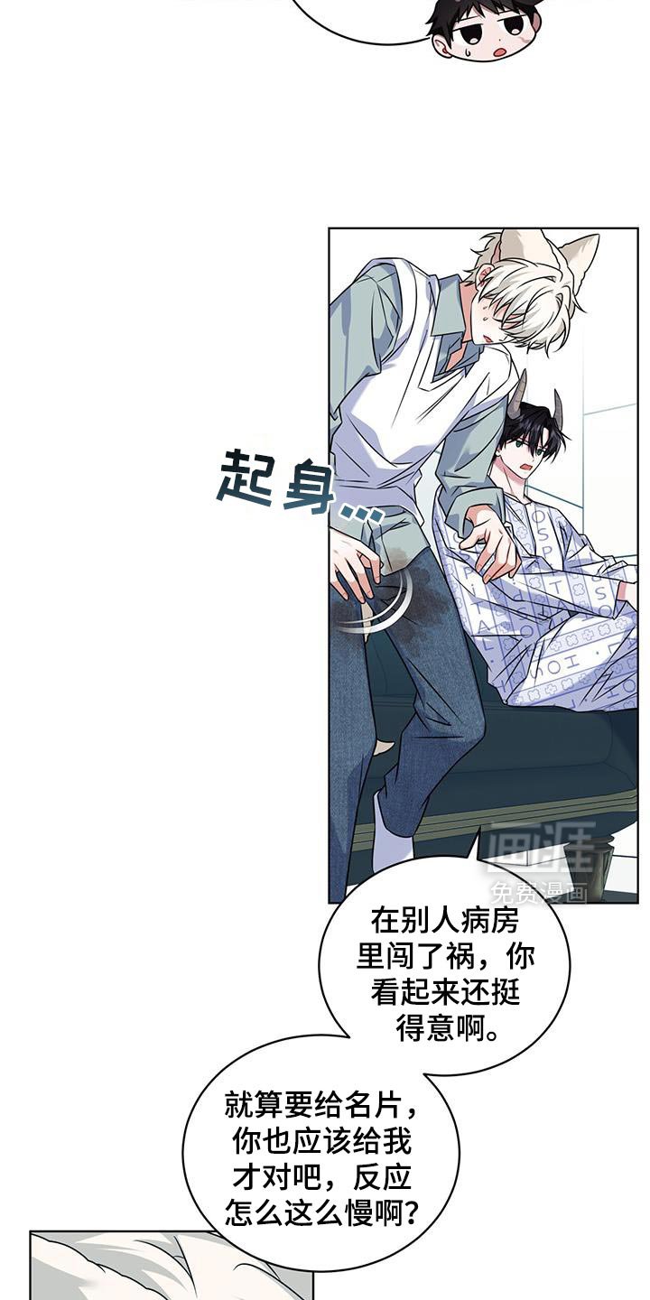 第35章：马卡龙