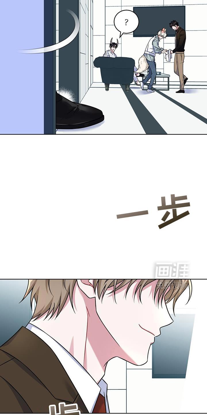 第35章：马卡龙