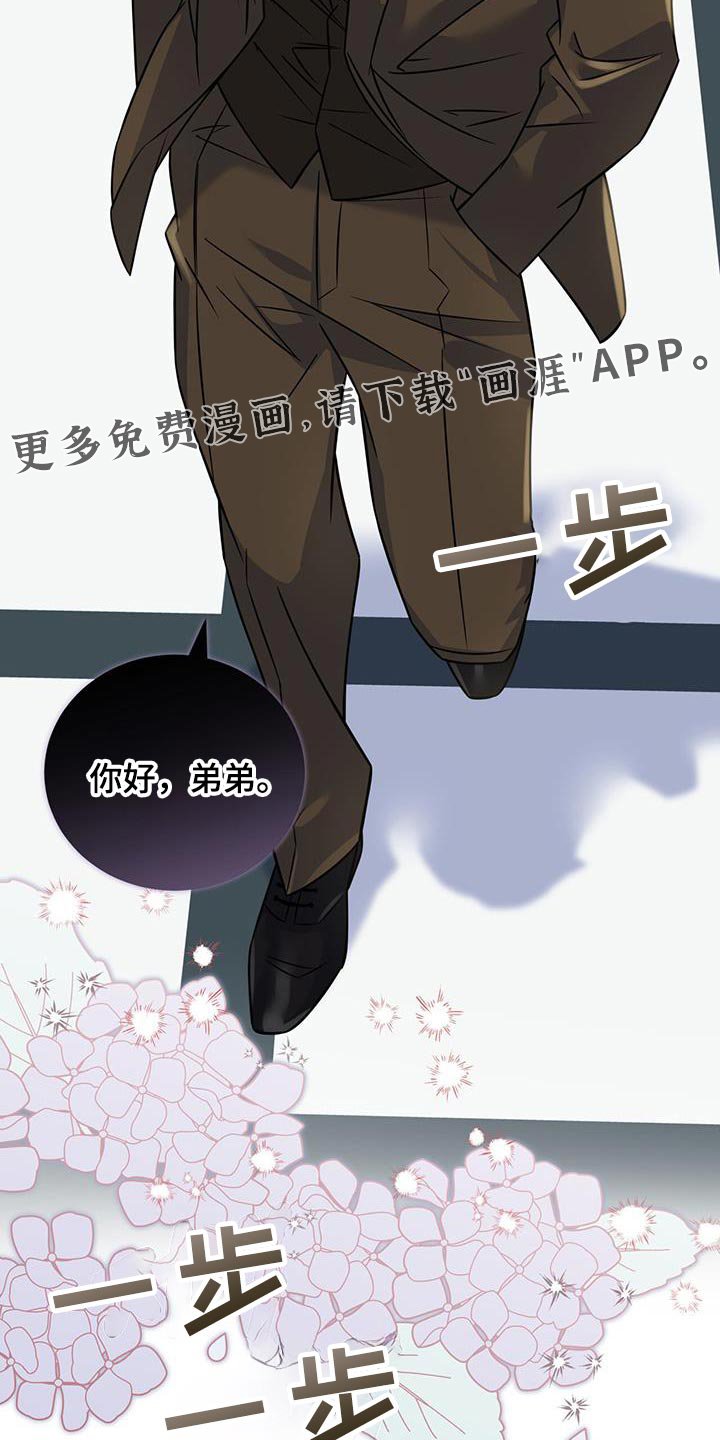 第35章：马卡龙
