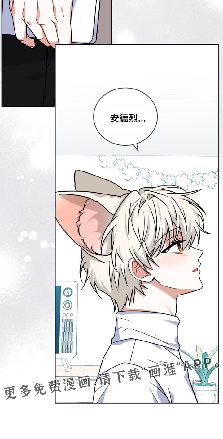 第38章：不想那样对他