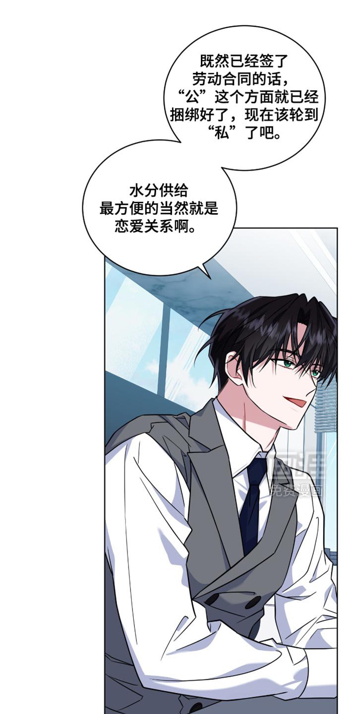 第39章：恋爱契约
