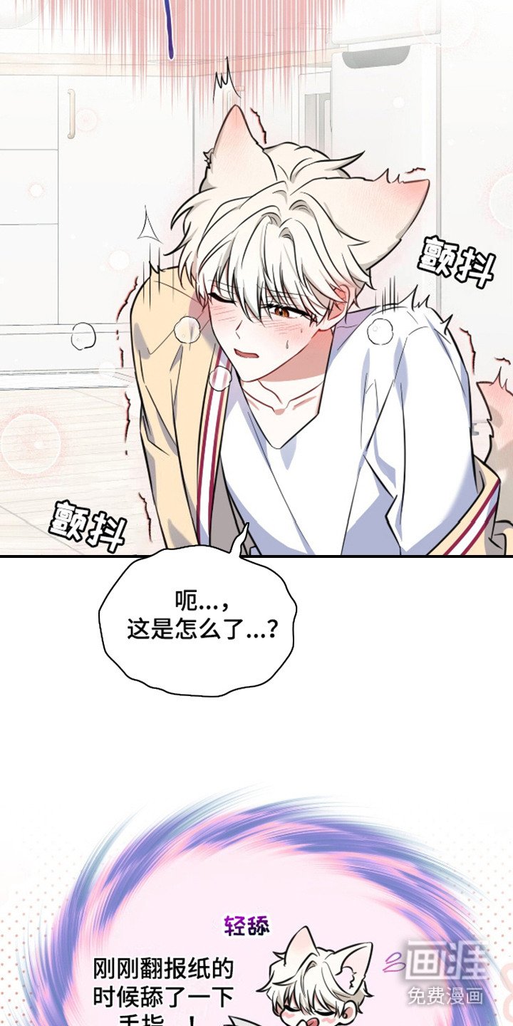 第4章：视线