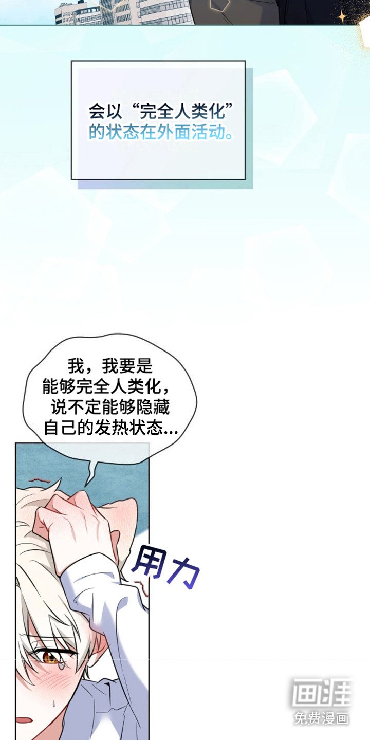 第4章：视线