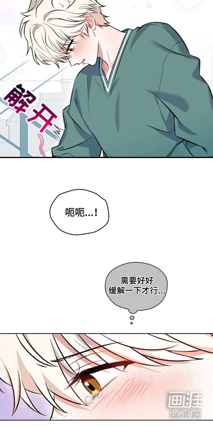 第4章：视线