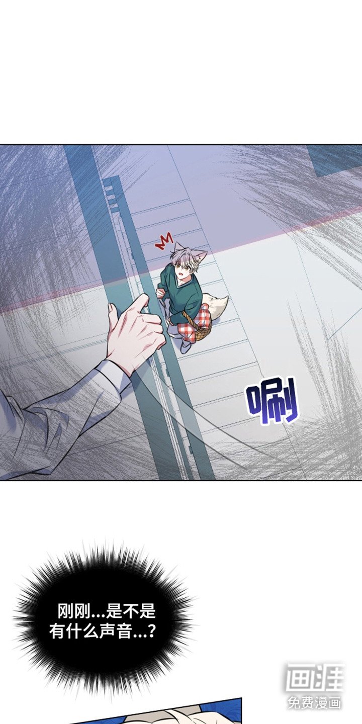 第4章：视线