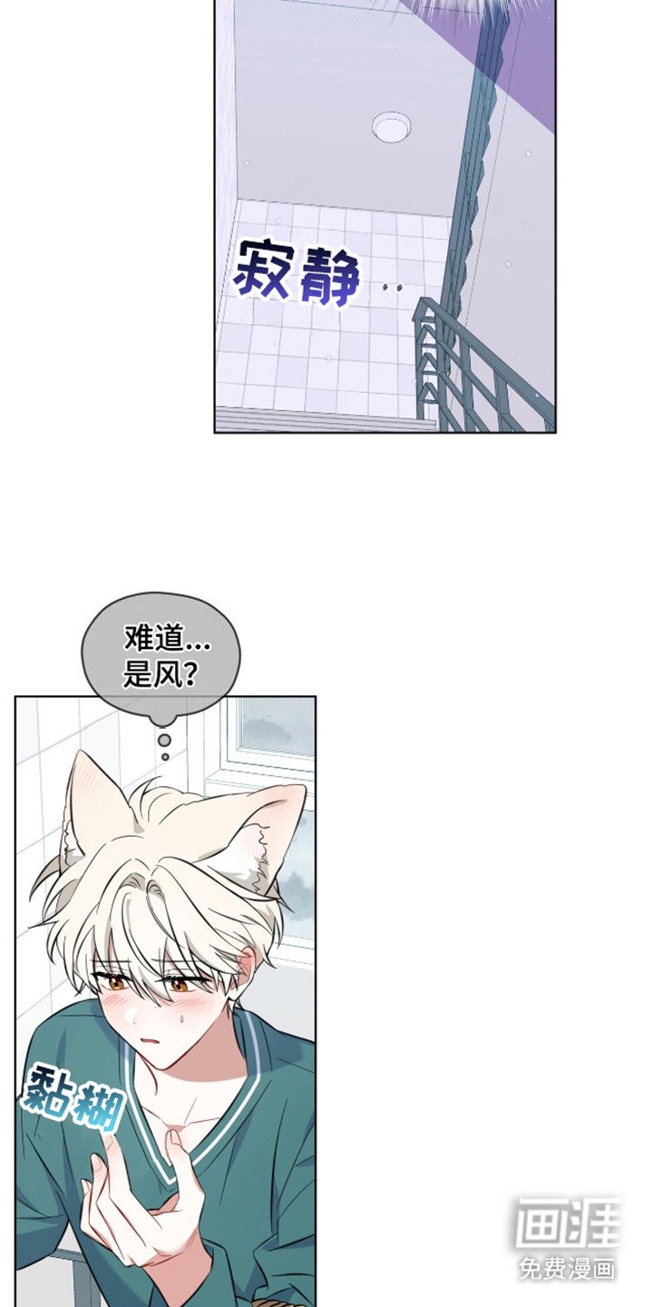 第4章：视线
