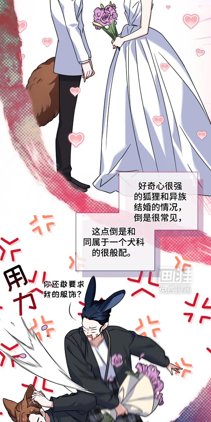 第40章：我帮你找