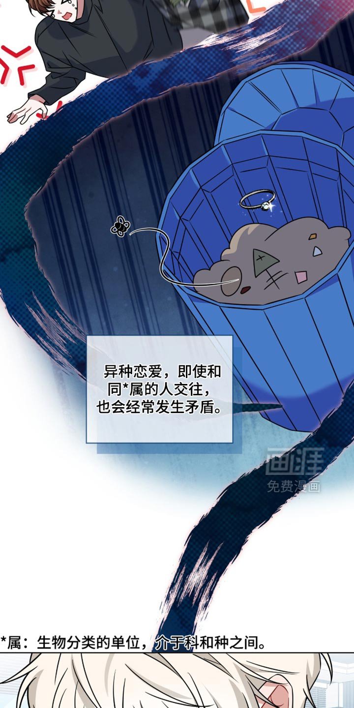 第40章：我帮你找