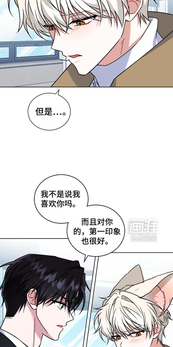 第40章：我帮你找