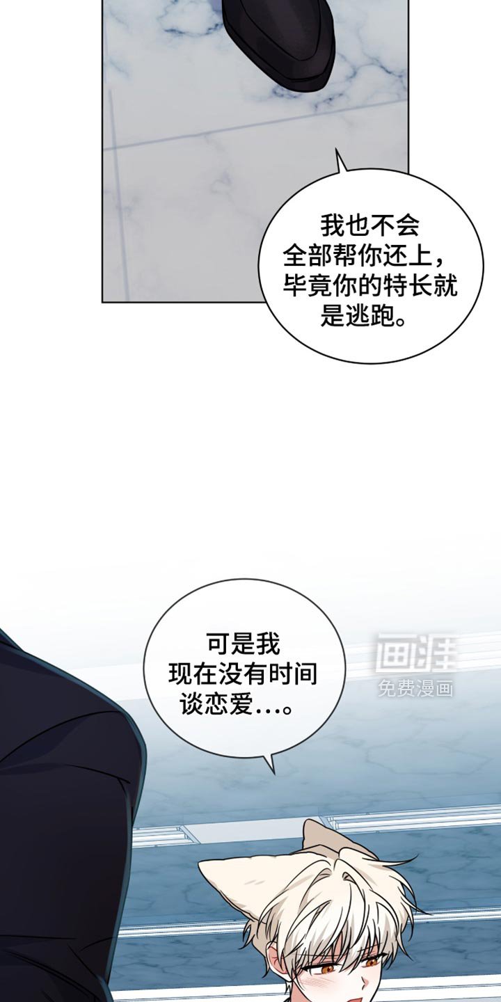第40章：我帮你找
