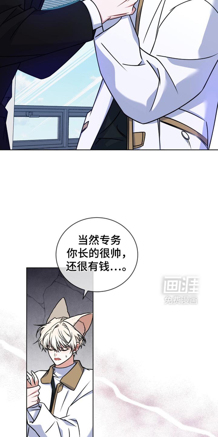 第40章：我帮你找