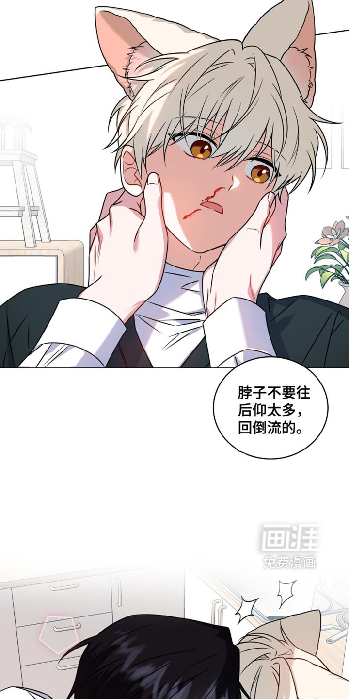第42章：流鼻血