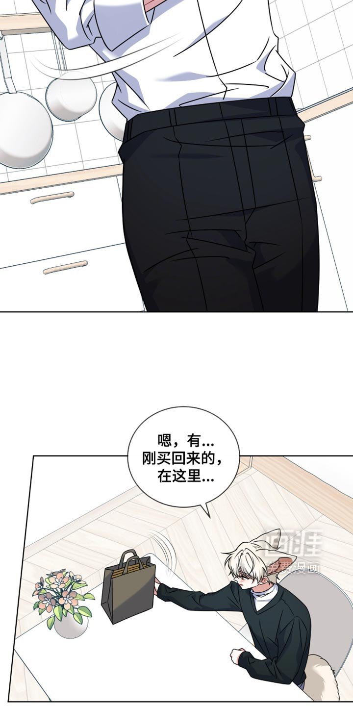 第43章：我答应你