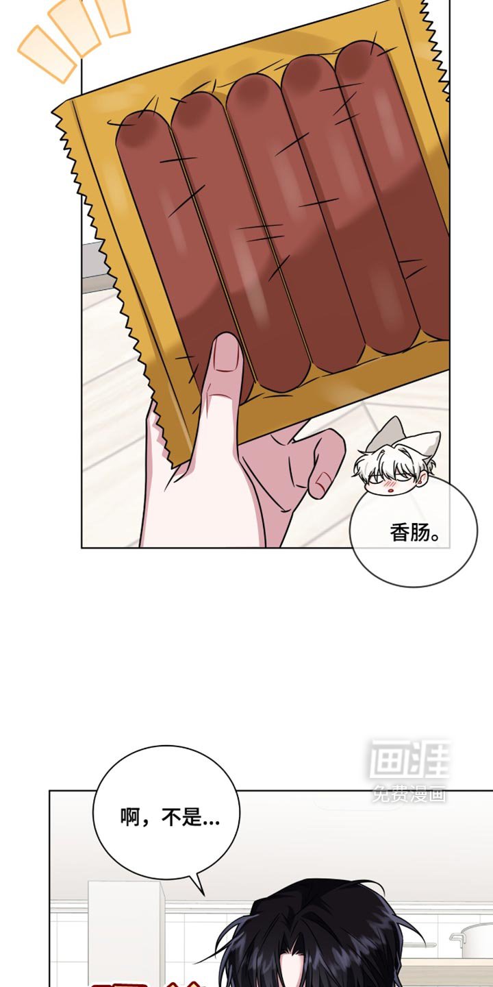第43章：我答应你