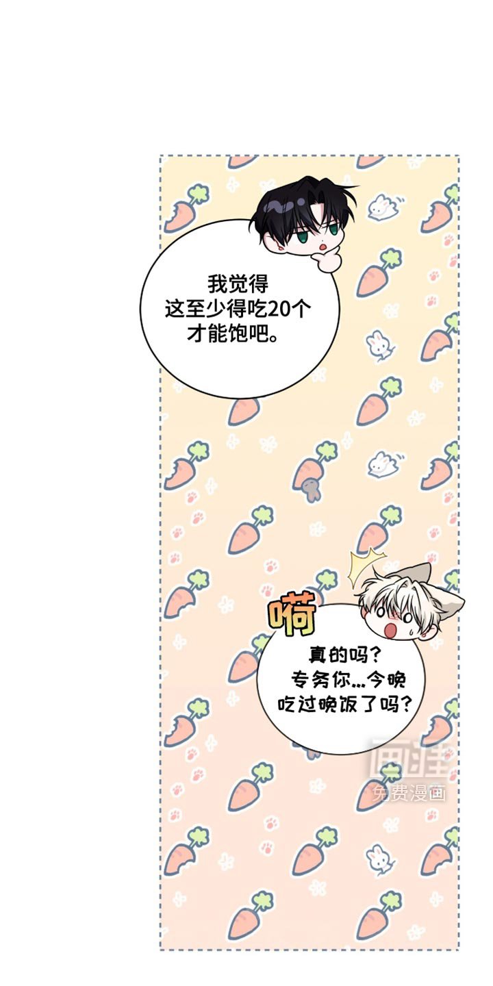 第43章：我答应你