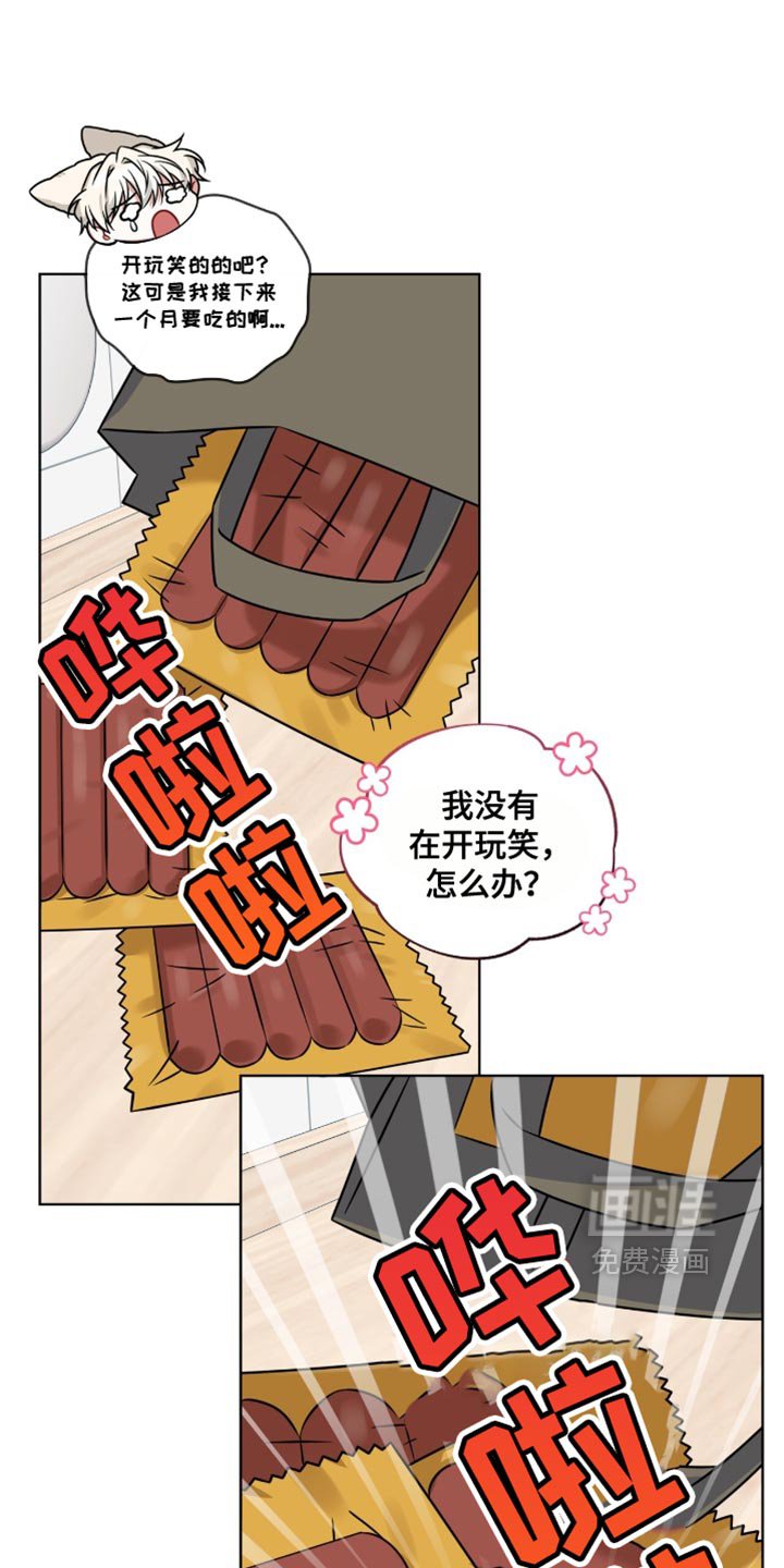 第43章：我答应你