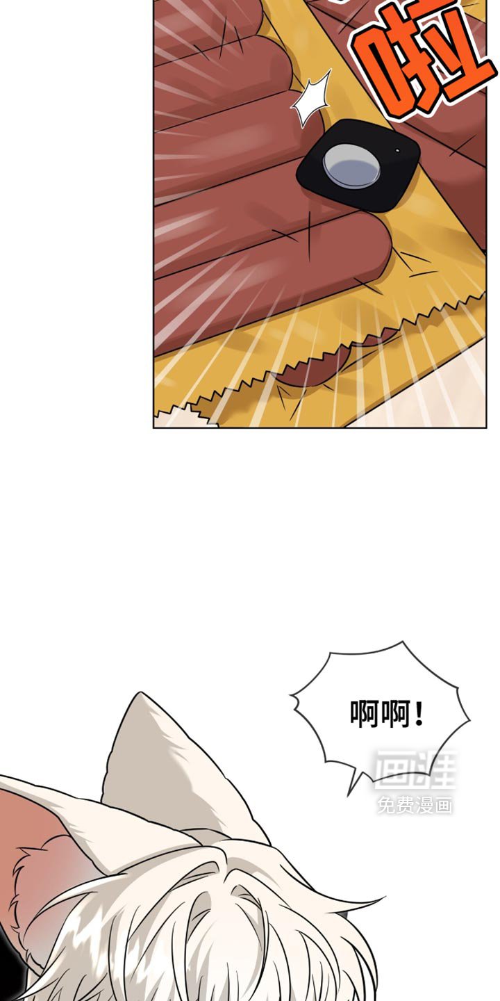 第43章：我答应你