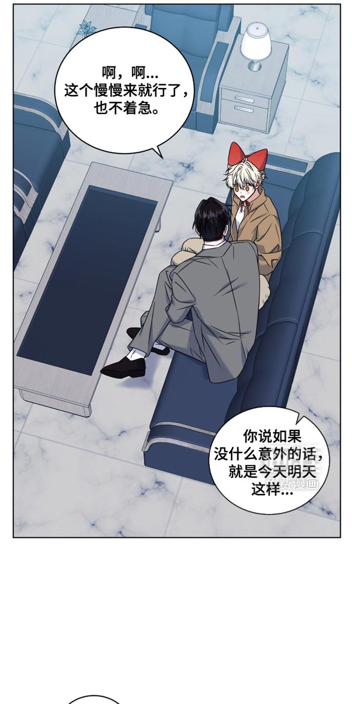 第47章：有意清除