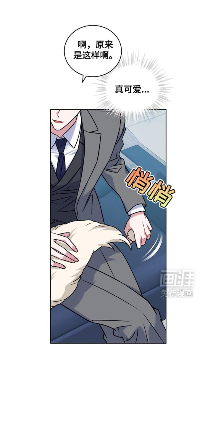 第47章：有意清除