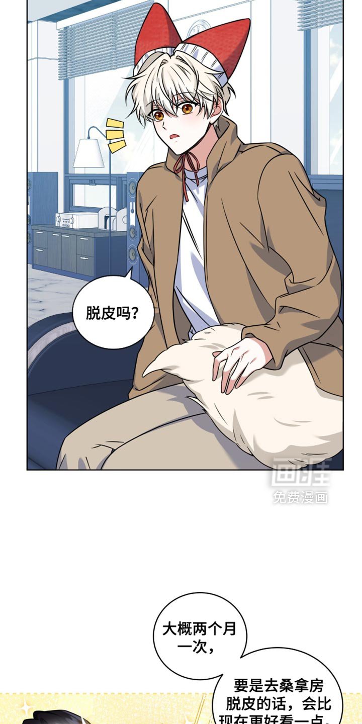 第47章：有意清除